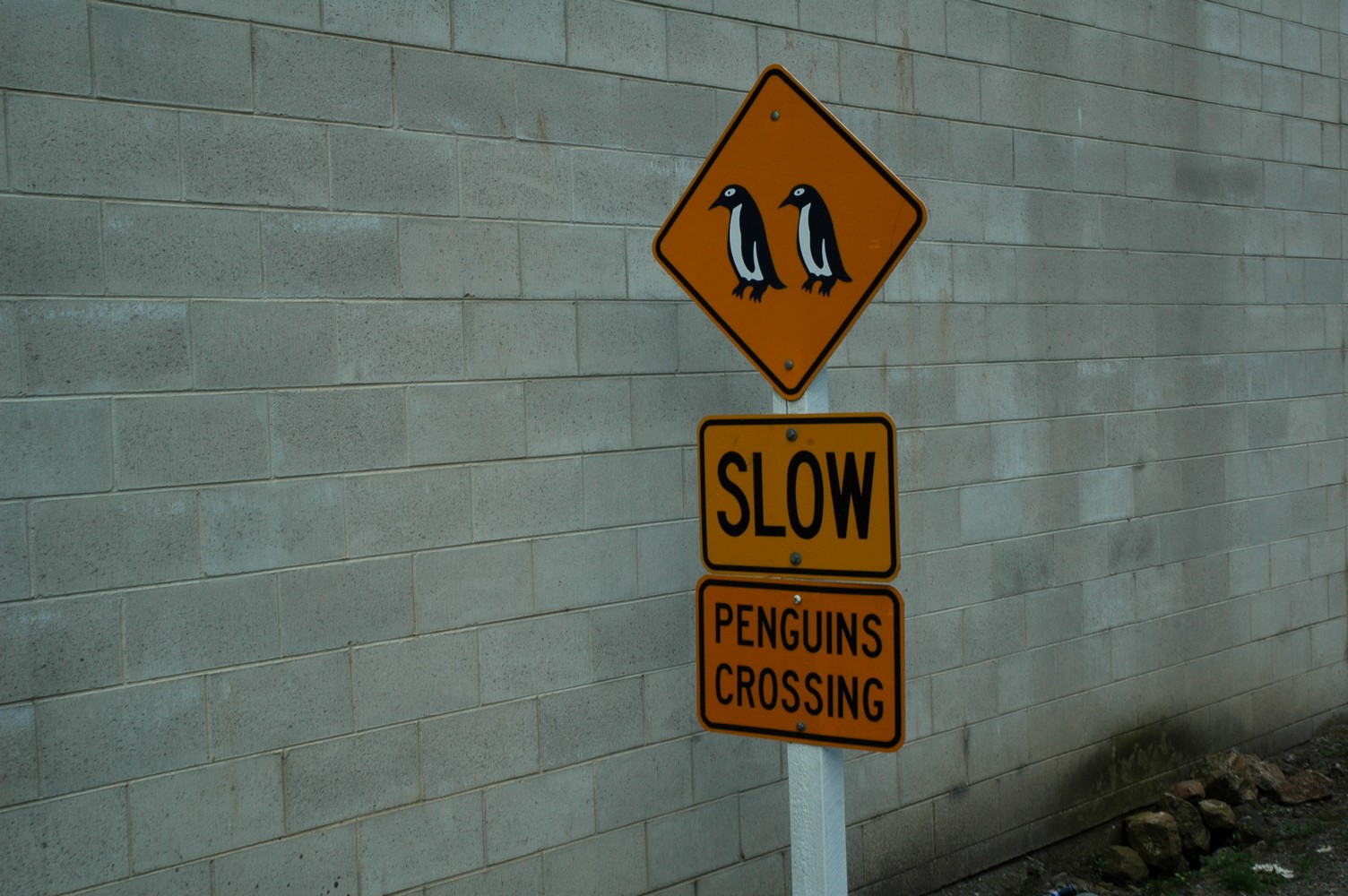 153   25 01   Fox Glacier   Oamura